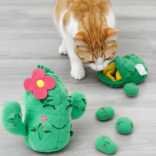 Jouet en peluche pour animaux de compagnie Peluche, 3 En 1, Cactus Avec Balle.
