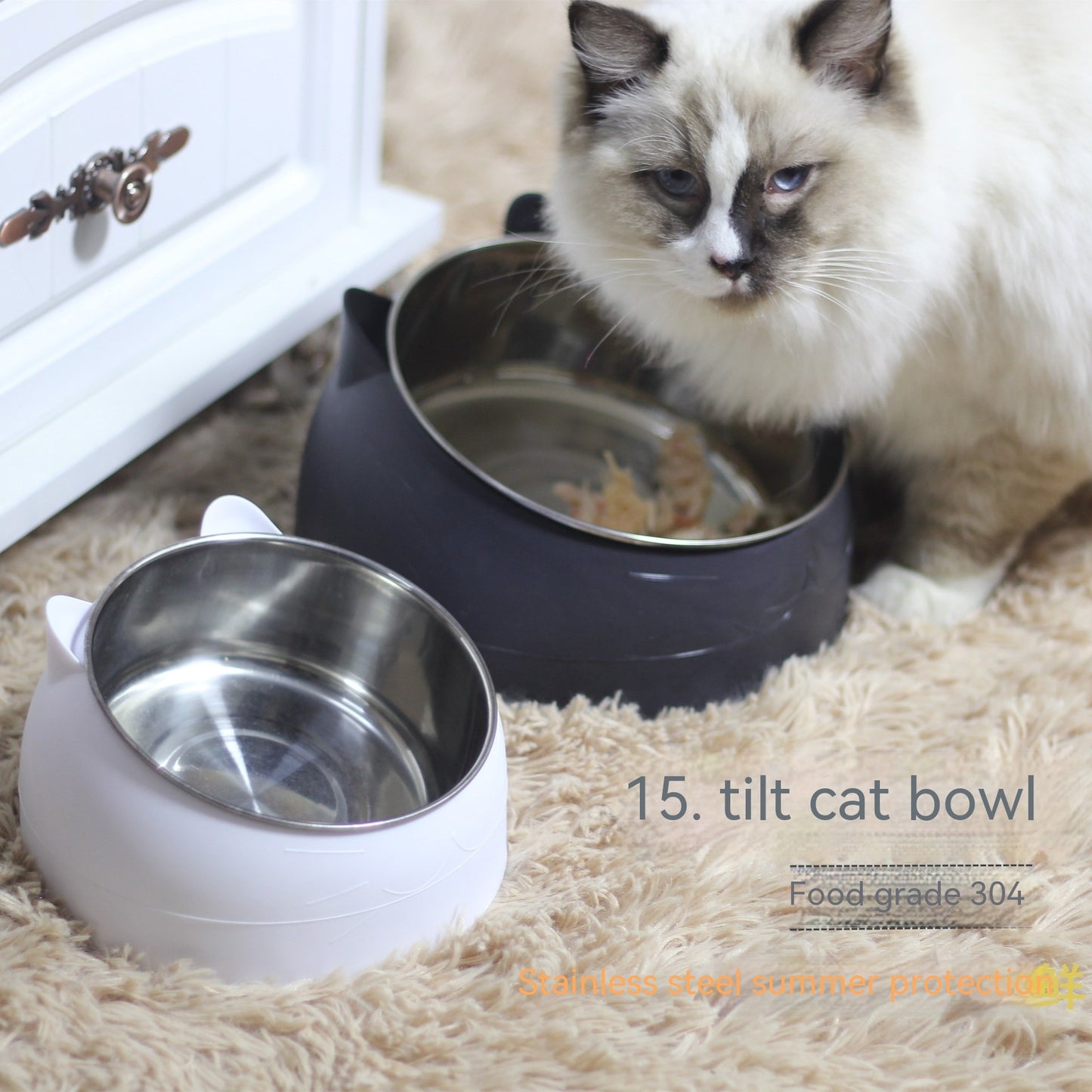 Gamelle Double en Acier Inoxydable pour Chat – Protection Cervicale & Bouche Oblique