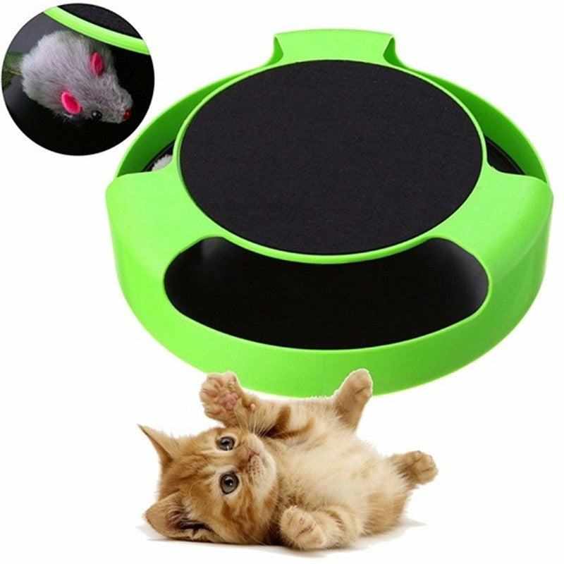 Jouet interactif pour chat avec chaton