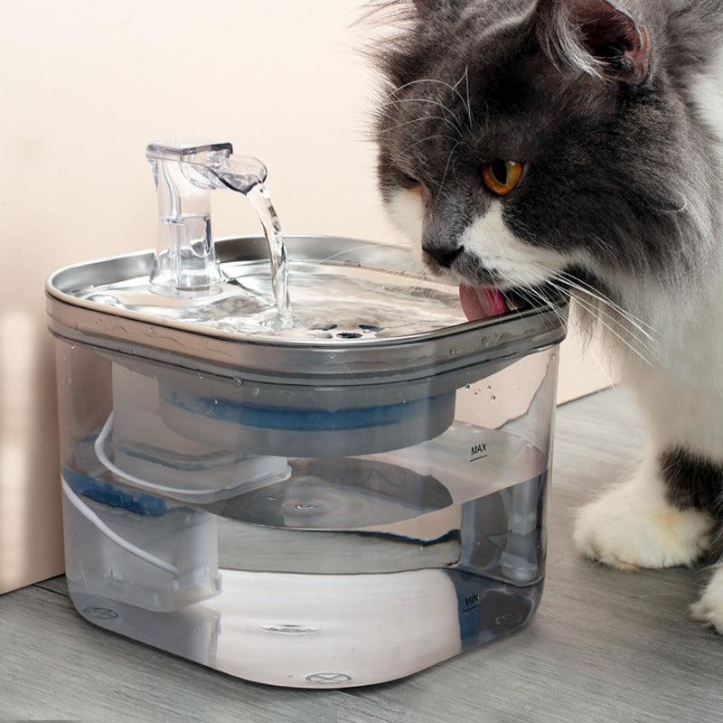 Fontaine à eau intelligente en acier inoxydable pour chats — Distributeur automatique avec circulation continue.