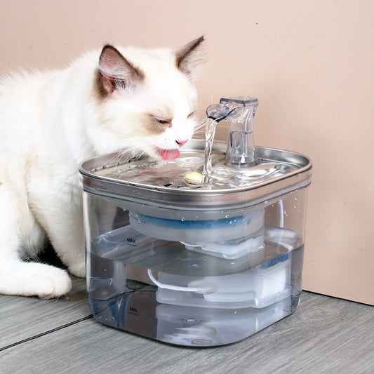 Fontaine à eau intelligente en acier inoxydable pour chats — Distributeur automatique avec circulation continue.