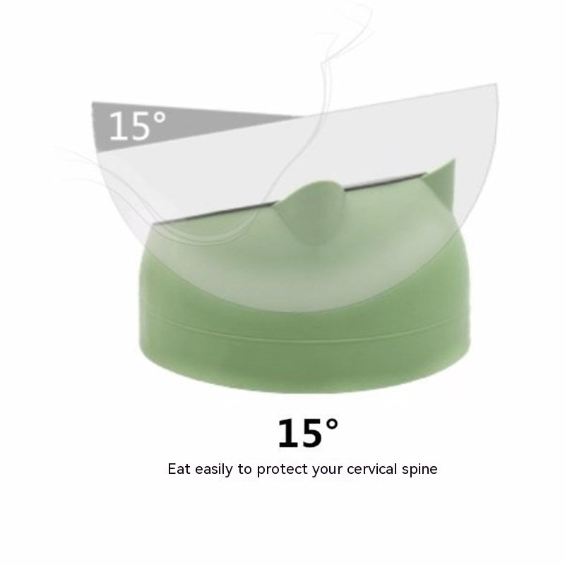 Gamelle Double en Acier Inoxydable pour Chat – Protection Cervicale & Bouche Oblique