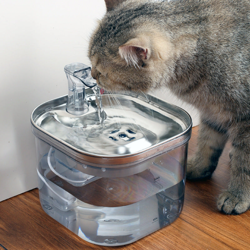 Fontaine à eau intelligente en acier inoxydable pour chats — Distributeur automatique avec circulation continue.