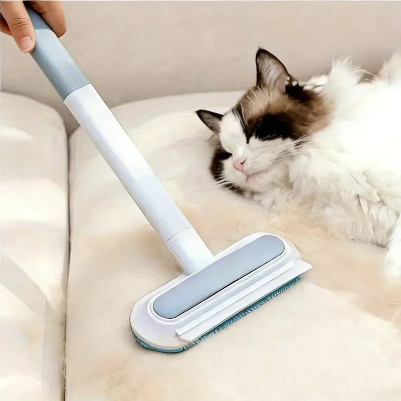 Brosse anti-poils retirant les poils de chat présents sur un canapé en tissu