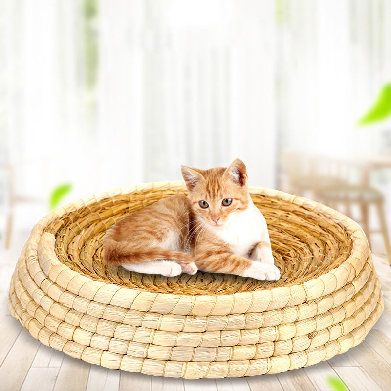 Panier en rotin pour chat avec un chat 