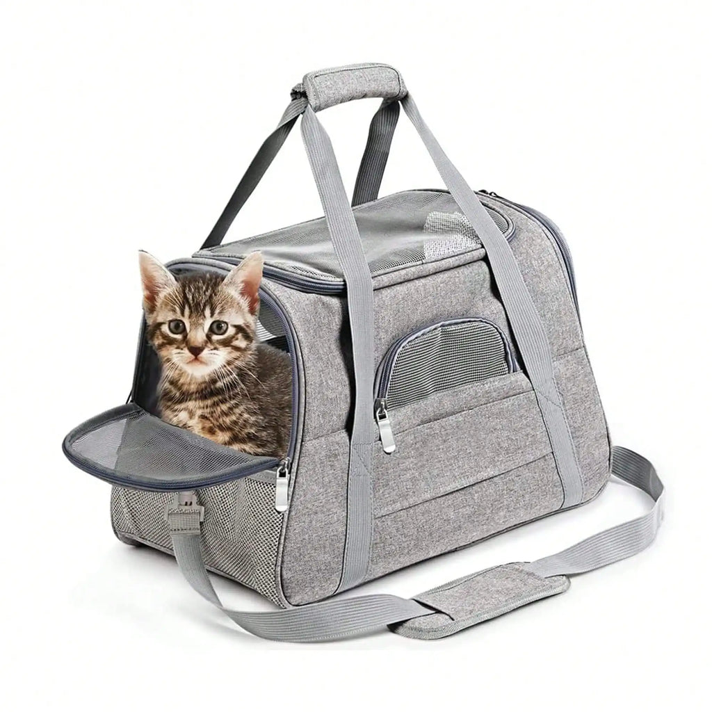 Sac de transport gris avec chat à l’intérieur, fenêtre en filet et matelas