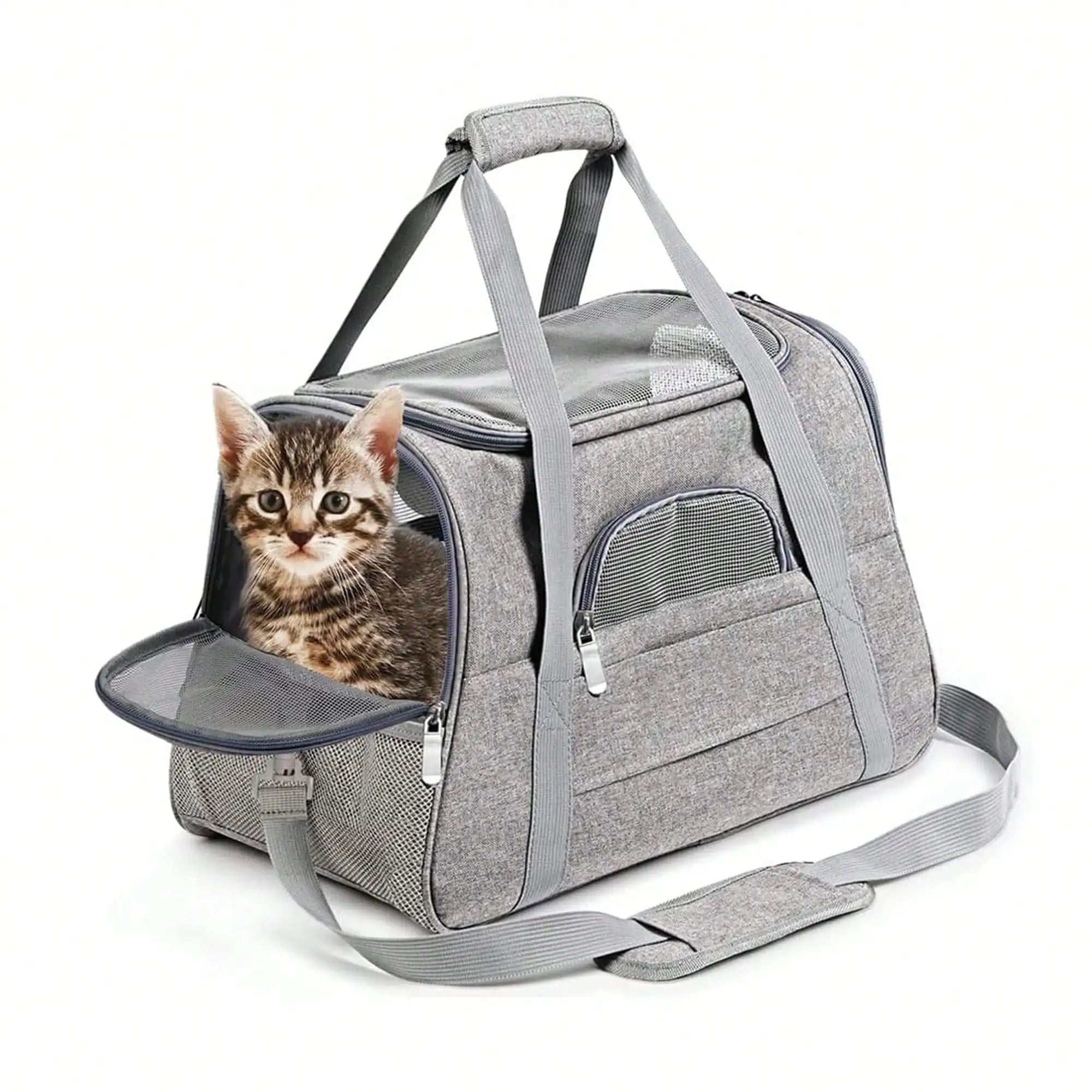 Sac de transport gris avec chat à l’intérieur, fenêtre en filet et matelas