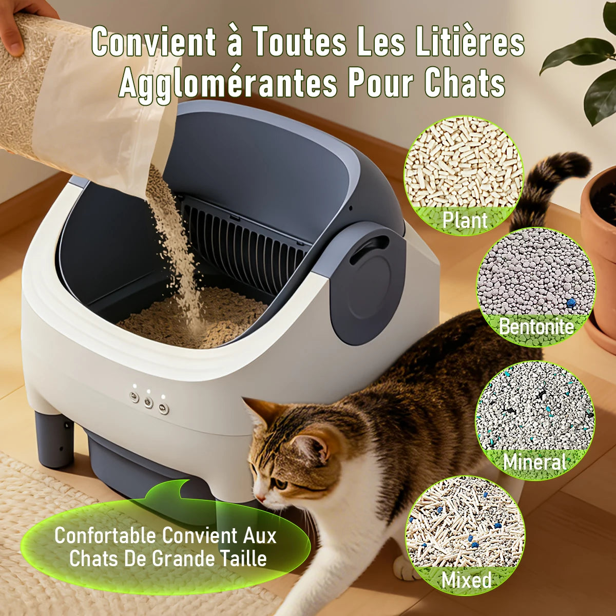 Litière automatique autonettoyante blanche, intérieur avec grille, chat au bord de l’ouverture.