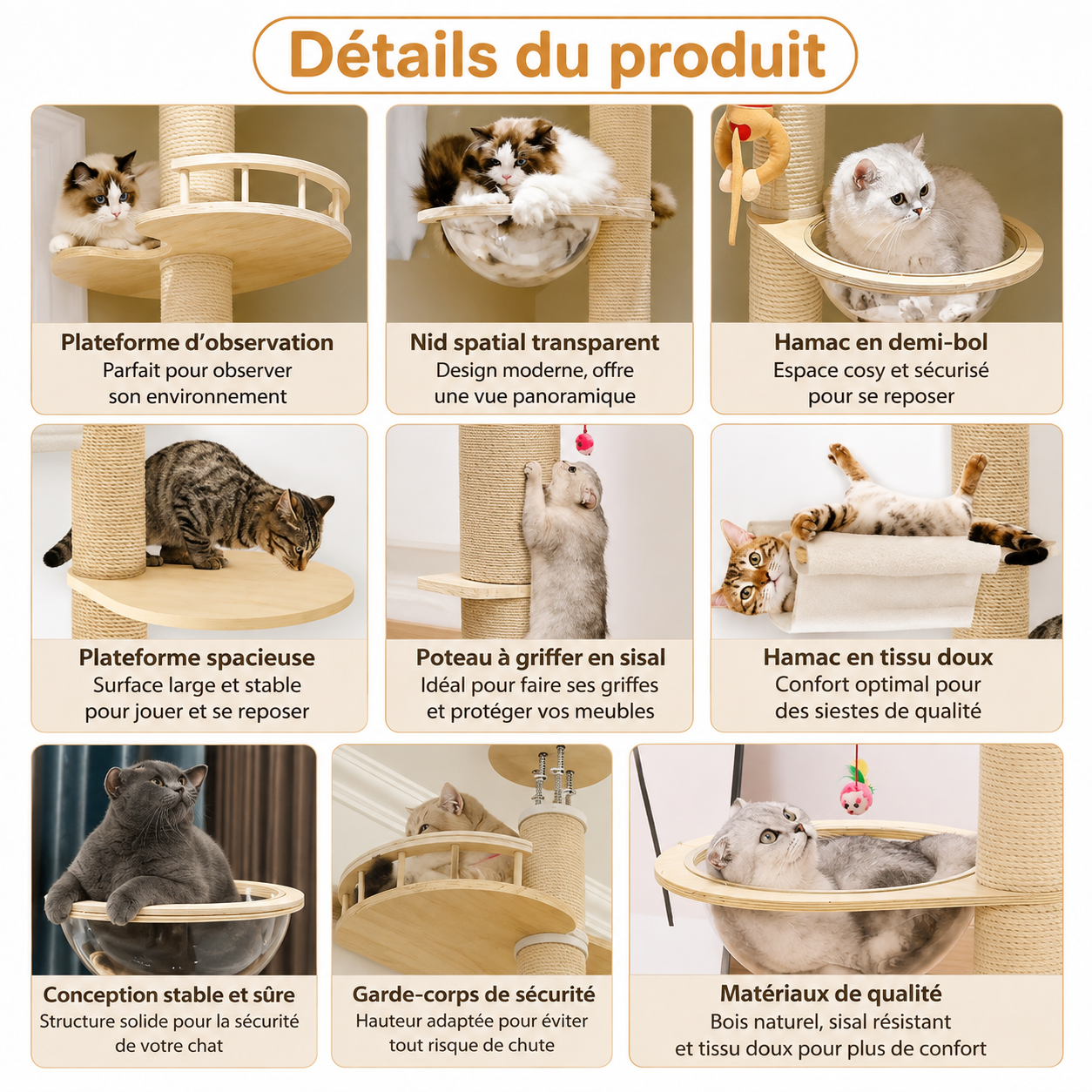 Arbre à chat sol-plafond : plateformes d’observation, hamac et poteau à griffer en sisal