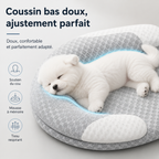 Coussin cervical rafraîchissant en forme de U gris, avec mousse à mémoire