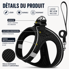 Harnais en maille respirante noire avec bandes réfléchissantes et laisse intégrée