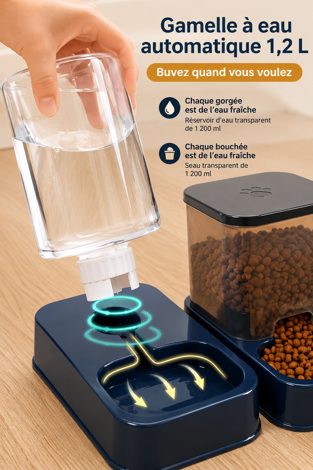 Distributeur d’eau automatique : verseur transparent rempli et base lumineuse