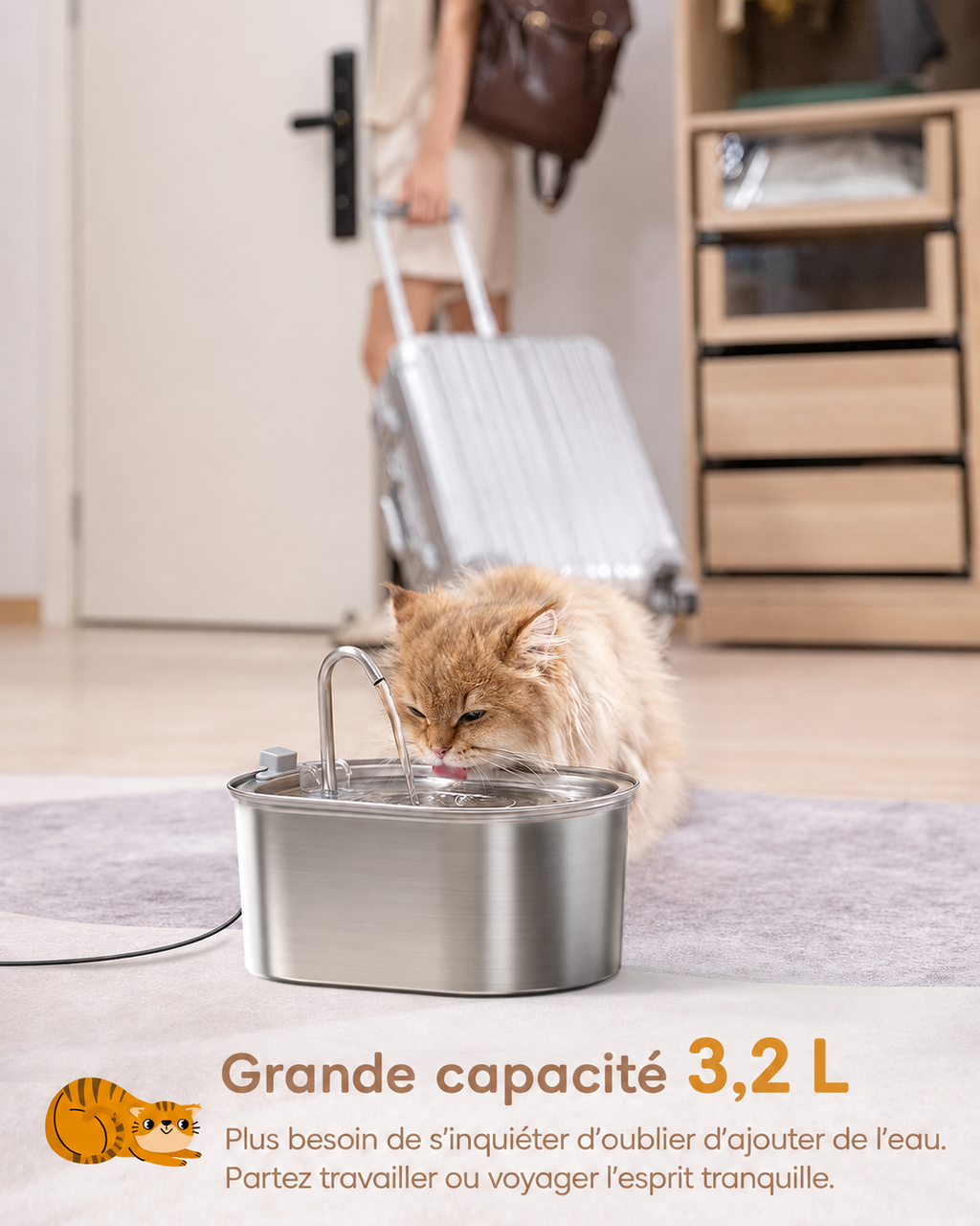 Fontaine à eau pour chat en acier inoxydable sur sol, chat boit au bol