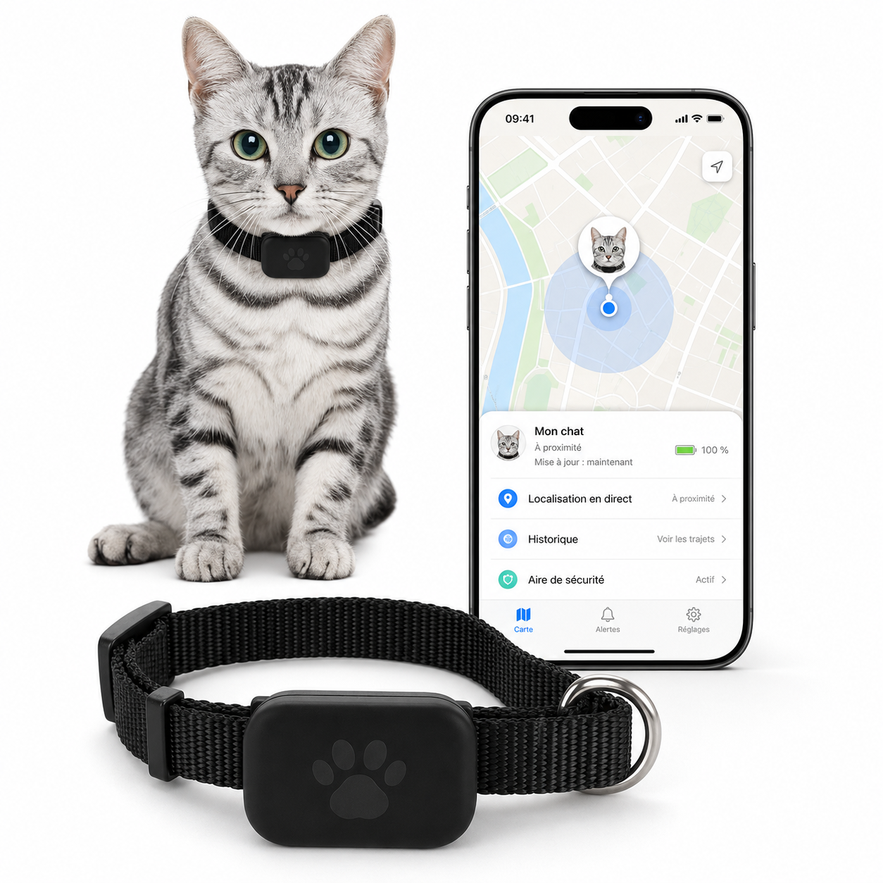 Collier traceur pour chat avec boîtier noir et sangle tressée, à poser autour du cou