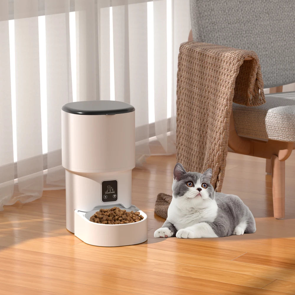 Distributeur automatique blanc avec écran et bac à croquettes, près d’un chat