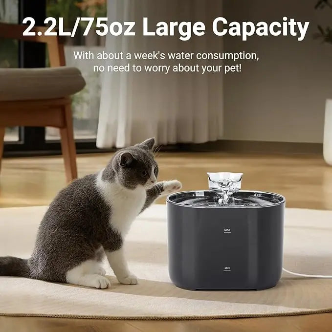 Silent 2.2L Cat Water Fountain – USB, Filtering & Automatic | Cat Luna