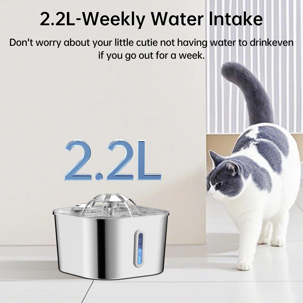 Fontaine à eau pour chat en acier inoxydable, dispositif de filtration et écoulement.