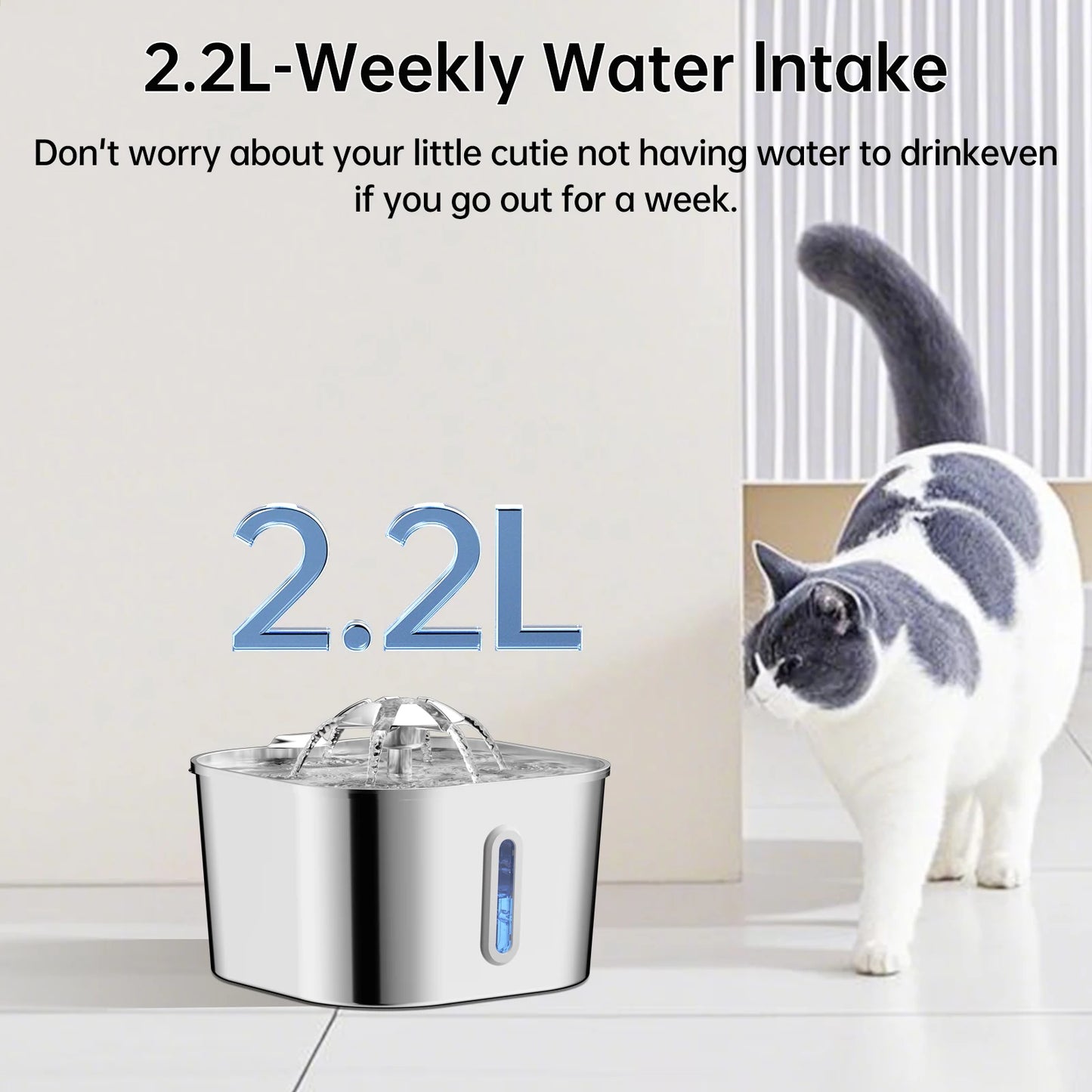 Fontaine à Eau pour Chat 2,2L — Inox, Silencieuse & Filtrante