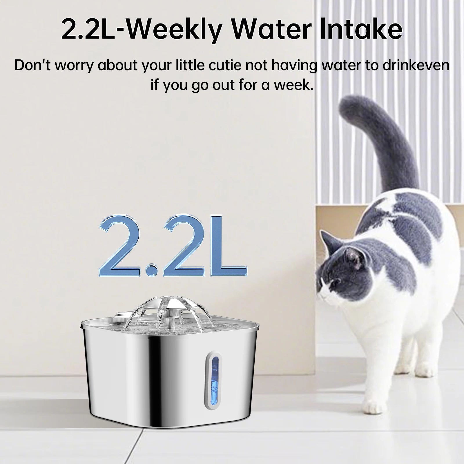 Fontaine à eau pour chat en acier inoxydable, dispositif de filtration et écoulement.