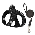 Ensemble harnais pour chat en mesh noir, avec laisse et anneau d’attache métallique