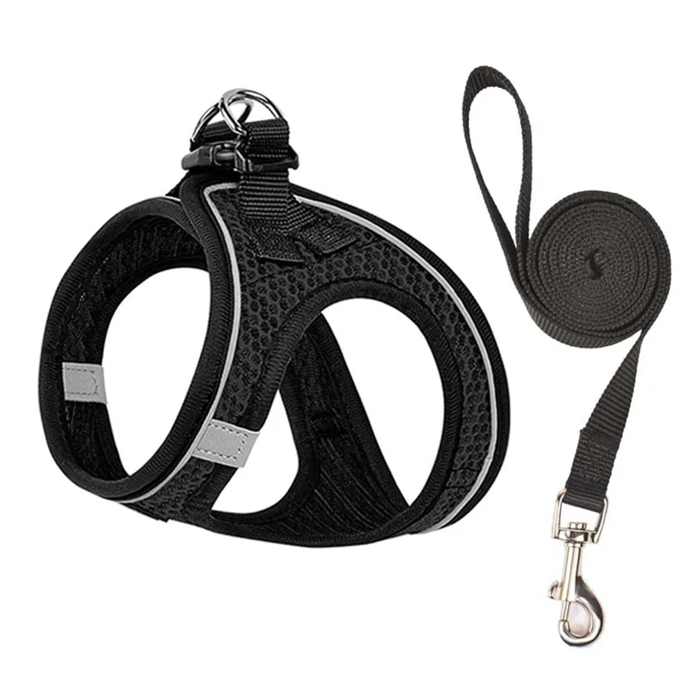 Cat & Small Dog Harness + Leash – Breathable Reflective Mesh XS/S/M