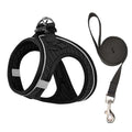 Harnais noir respirant pour chat/chien avec laisse enroulée, boucle réglable et attache métal.