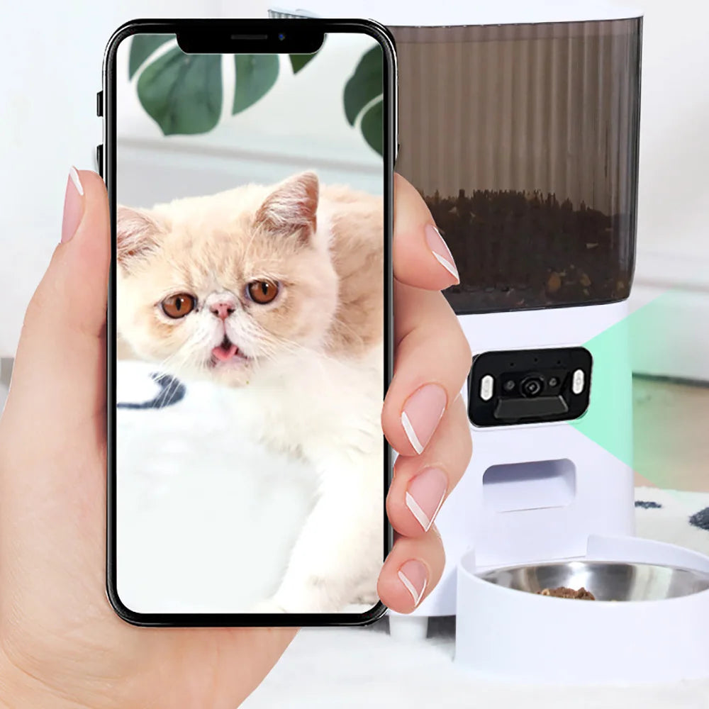 Distributeur automatique 5L avec caméra, trémie fumée et ouverture pour alimentation du chat