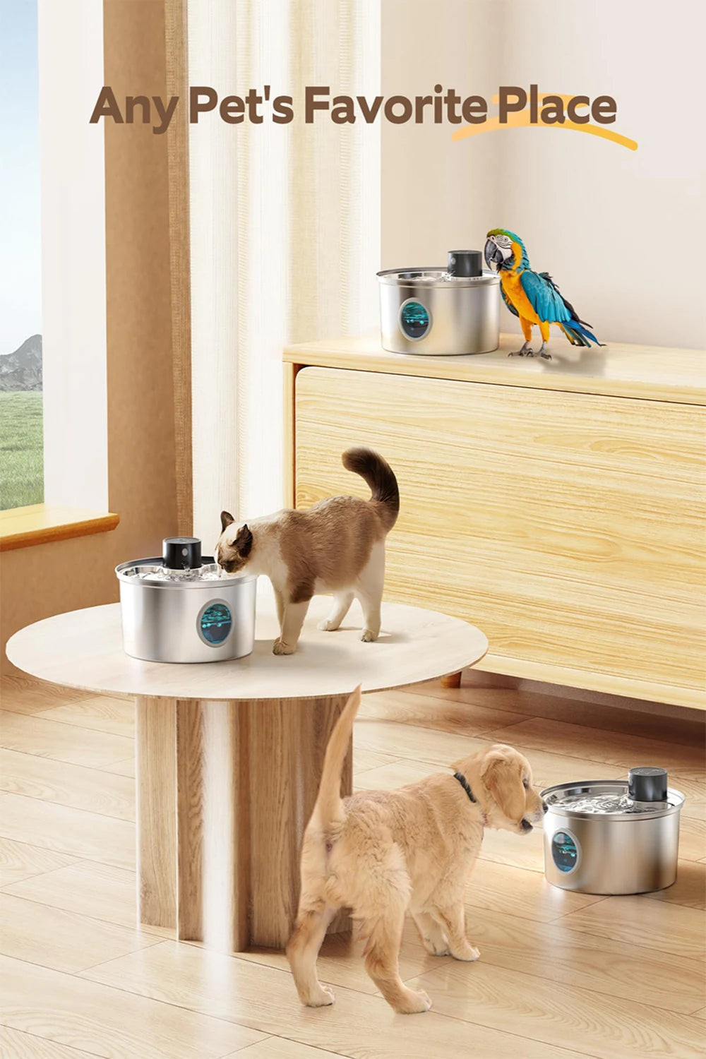 Fontaine à Eau pour Chat Sans Fil – Capteur Intelligent & Inox