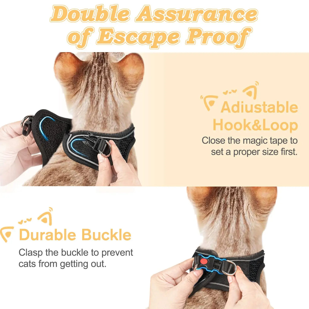 Harnais pour chien/chat noir avec liseré bleu, attache réglable boucle solide