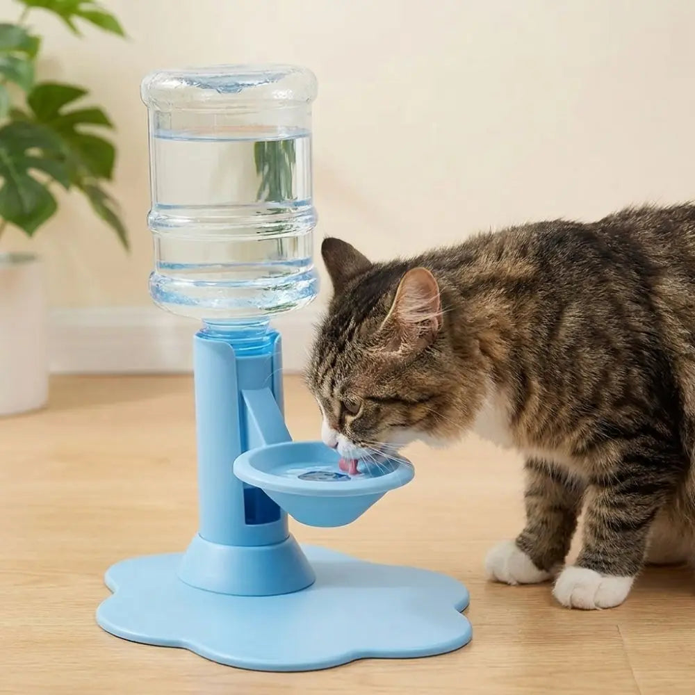 Fontaine à eau pour chat gravitaire, base bleue, bol et chat qui boit