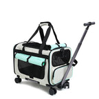Sac de transport à roulettes pour chat, noir et blanc, poignées turquoise, fenêtre mesh