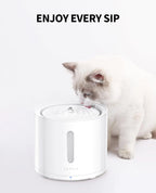 Filtres PETKIT 3.0 pour fontaines Eversweet et Solo – lot de 5