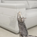 Film de protection transparent PVC anti-griffes sur canapé, chat qui griffe le bord