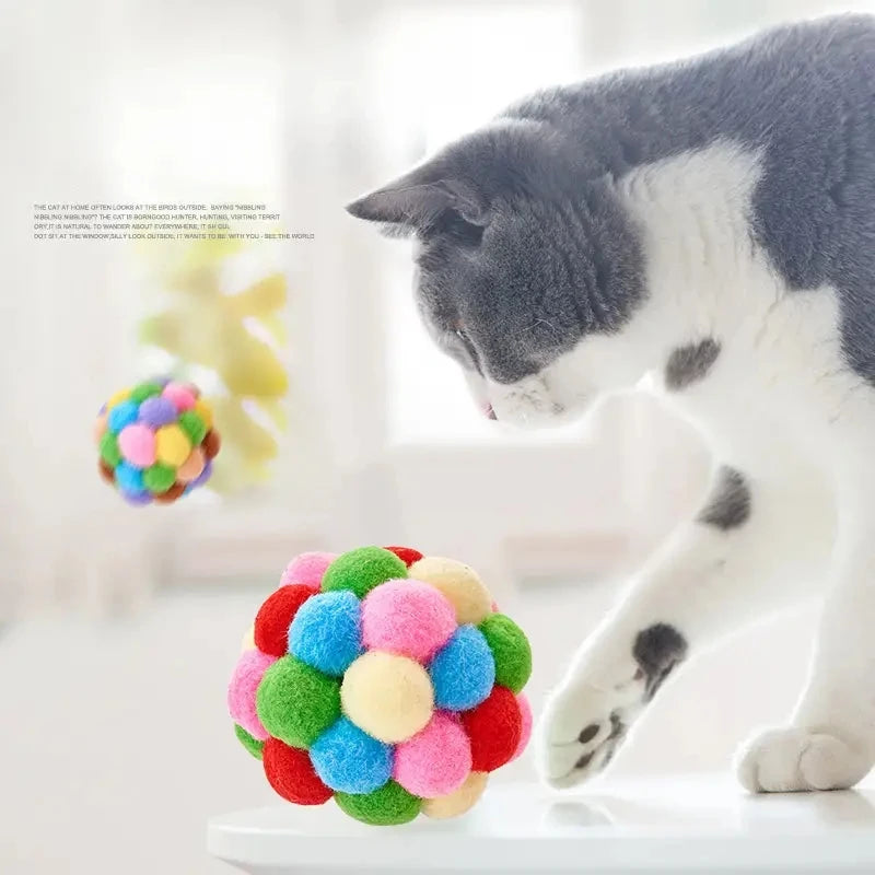Balle de jeu interactive pour chat en pompons multicolores, devant un chat noir et blanc.