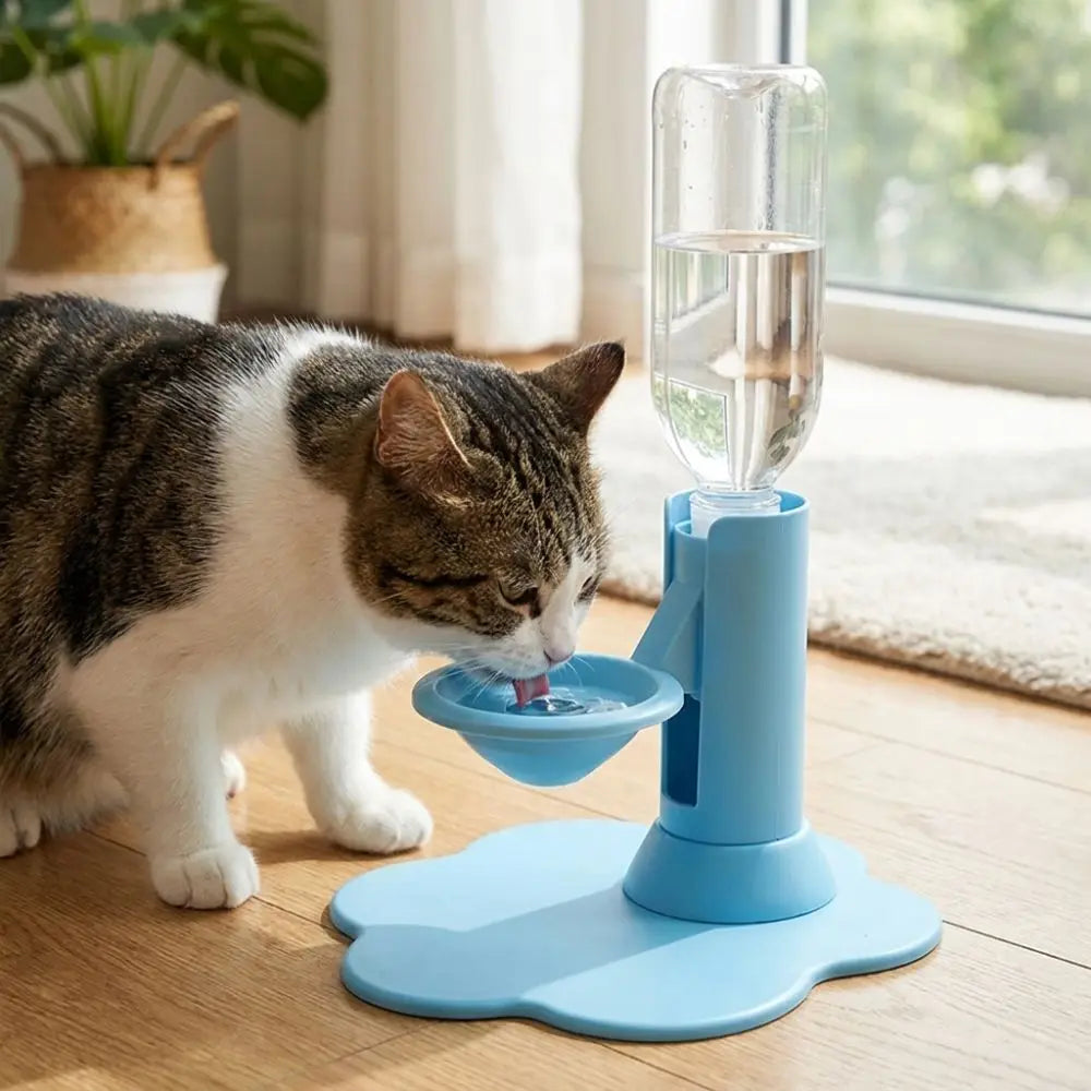 Fontaine à eau pour chat gravitaire, base bleue, chat qui boit