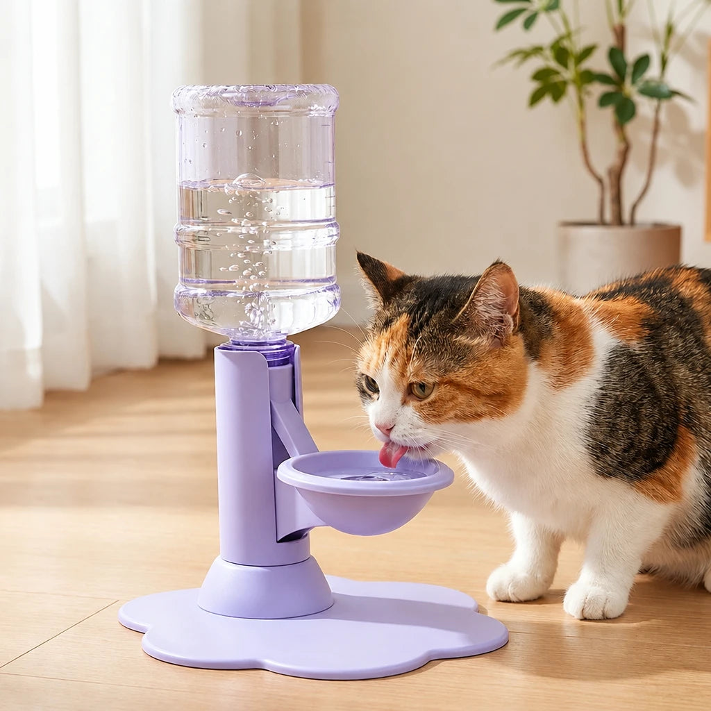 Fontaine à eau pour chat gravitaire, base violette et bol