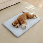 Tapis rafraîchissant pour animaux bleu clair, surface alvéolée, petit chien brun dessus