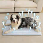 Tapis rafraîchissant pour animaux bleu clair, surface alvéolée, avec chien dessus