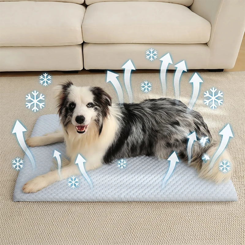 Tapis Rafraîchissant Chat & Chien — Été