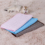 Tapis rafraîchissant pour chat et chien rose et bleu, relief en bulles, chats sur le dessus