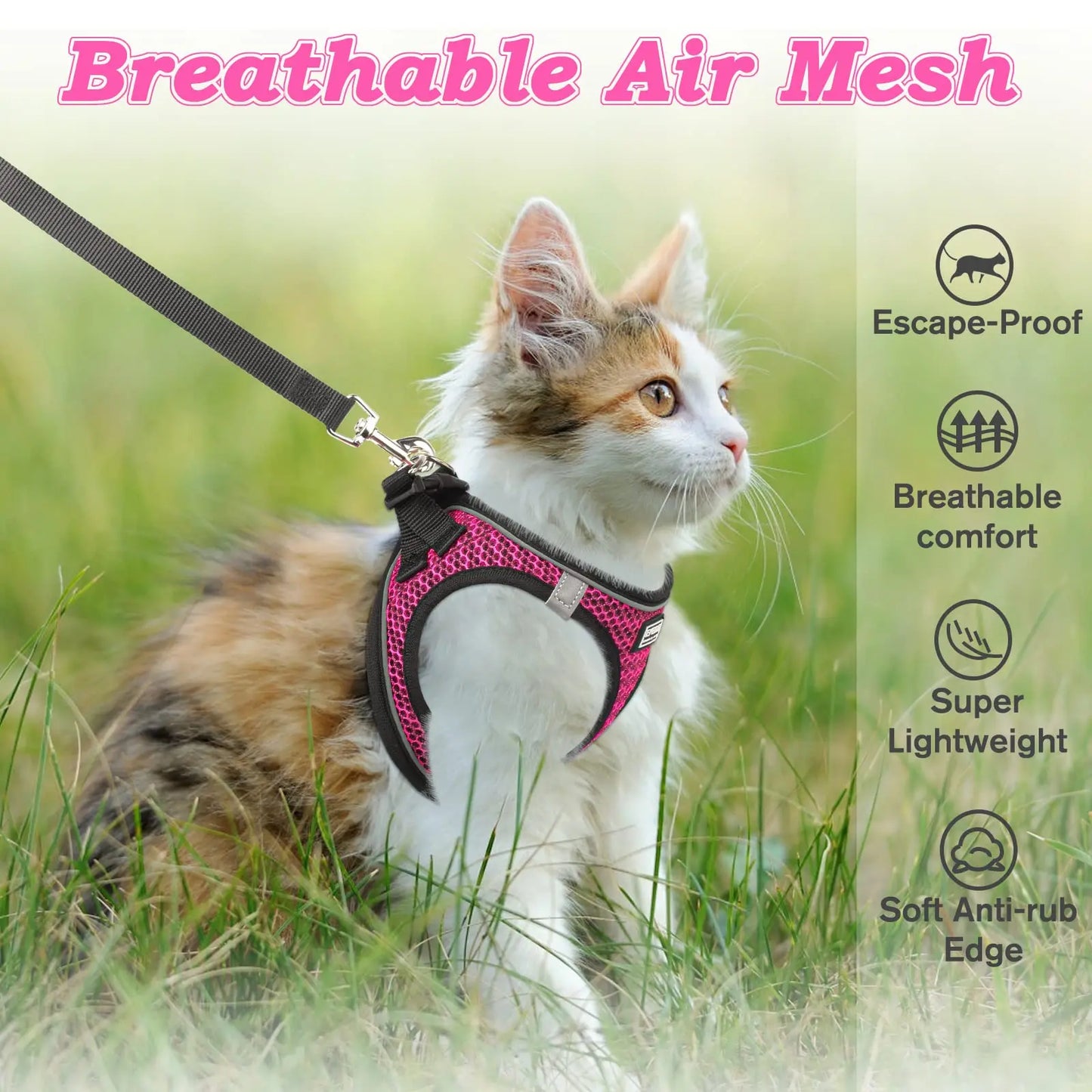 Cat & Small Dog Harness + Leash – Breathable Reflective Mesh XS/S/M