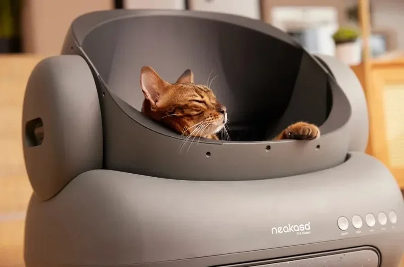 Litière Automatique Autonettoyante Neakasa M1 — Open-Top, Contrôle App, Ultra-Silencieuse