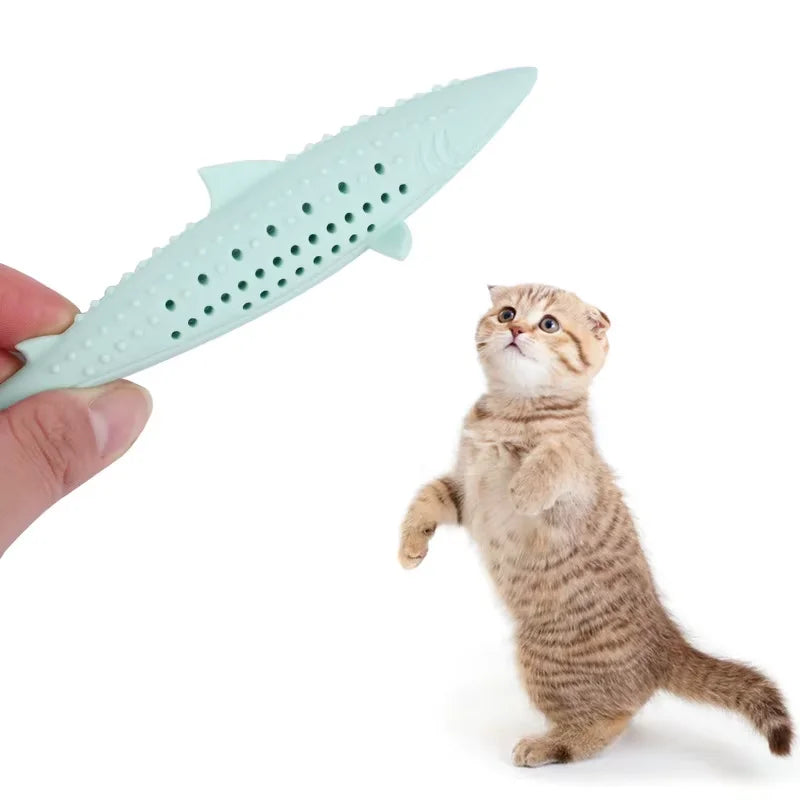 Jouet requin à mâcher pour chat