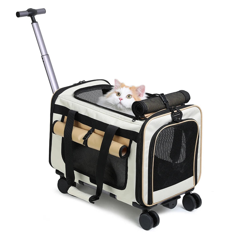 Sac de transport à roulettes pour chat, noir et blanc, sangles beige, fenêtre en mesh