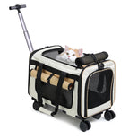 Sac de transport à roulettes pour chat, noir et blanc, sangles beige, fenêtre en mesh