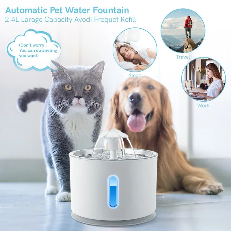 Fontaine à Eau Automatique en Inox pour Chat - Distributeur Intelligent avec Filtre