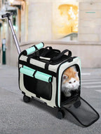 Sac de transport à roulettes turquoise et noir, chat orange, fenêtre avant en maille