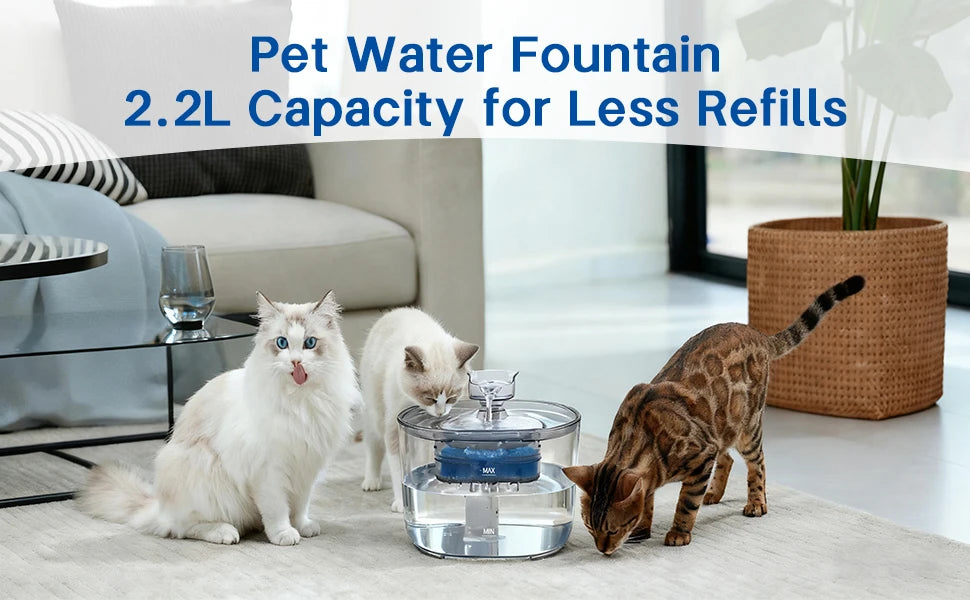 Silent 2.2L Cat Water Fountain – USB, Filtering & Automatic | Cat Luna
