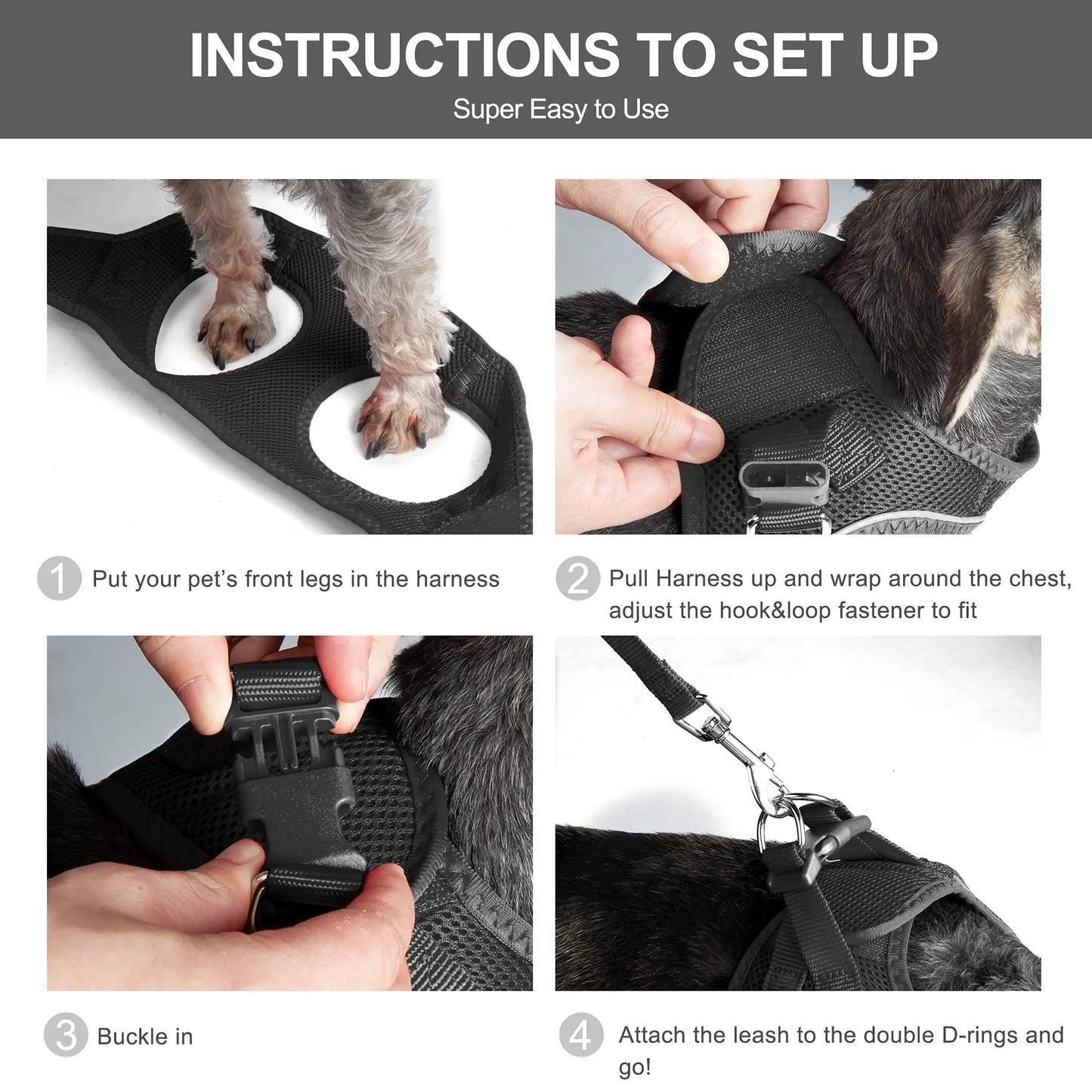 Cat & Small Dog Harness + Leash – Breathable Reflective Mesh XS/S/M