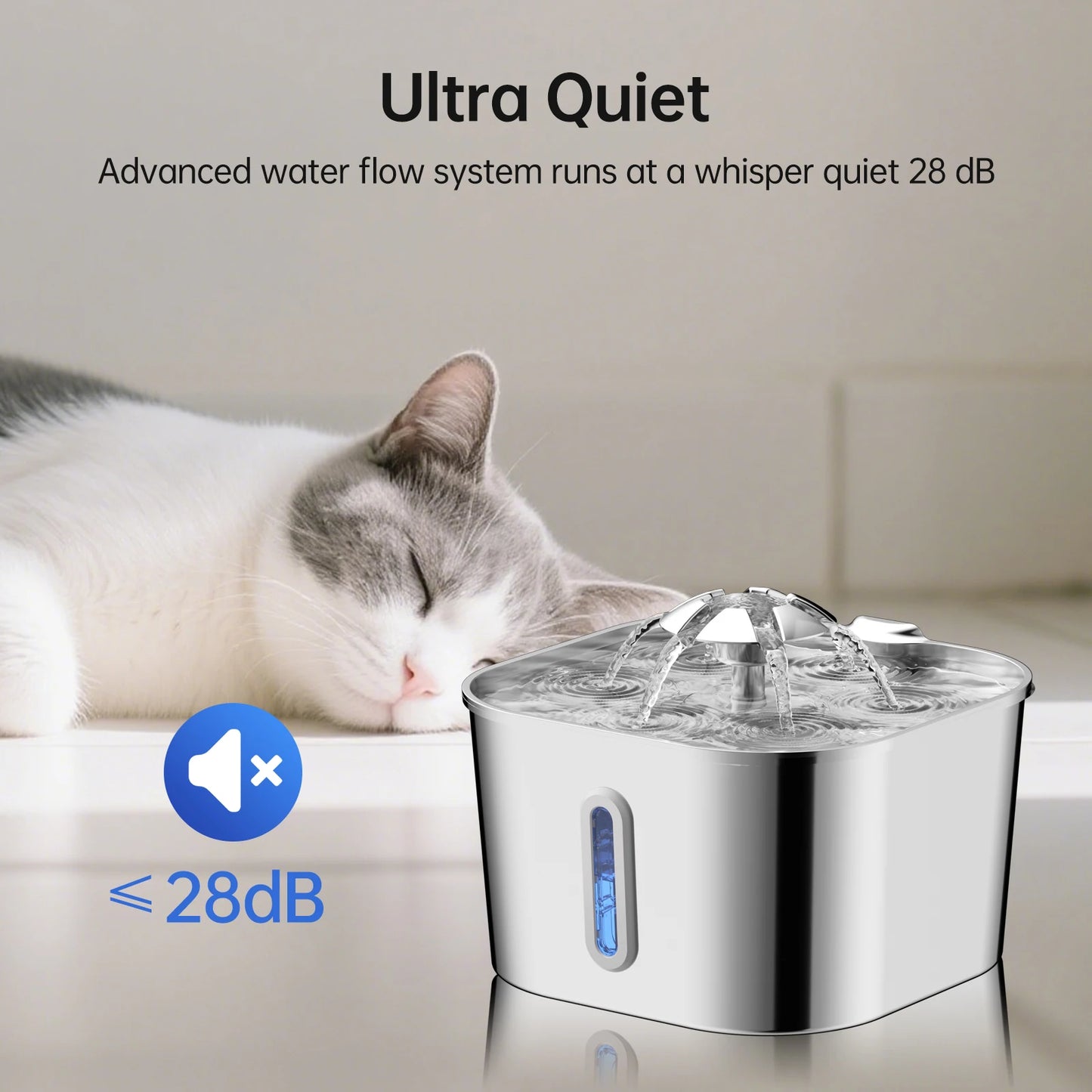 Fontaine à Eau pour Chat 2,2L — Inox, Silencieuse & Filtrante